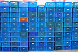 开云娱乐官网-NBA球队数据分析助力战术创新研究，nba比较好的数据分析模型